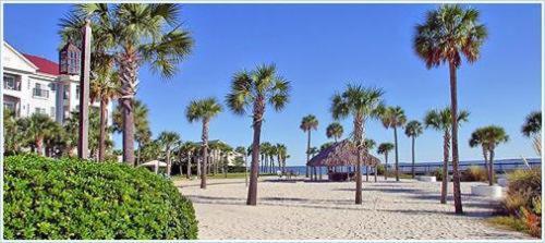 Harborside At Charleston Harbor Resort And Marina Exterior foto